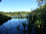 FZ032342 Lake in forest.jpg